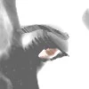 Avatars- Eyes