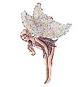 fairy glamour