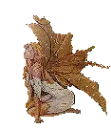hope fairy