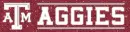 Texas A&M