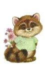 Raccoon