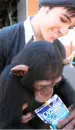Pete and Ashlee lol! nuh Pete and Cute monkey