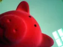 Piggy-rose