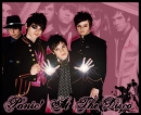 Panic at the disco