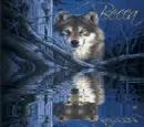 Wolf in the Woods- Becca