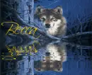 Wolf in the Woods (with water reflection)- Becca