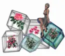 Cube Lady