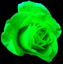 green flower