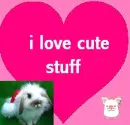 cute stuff