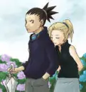 shikaino