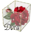 Dora - Rose Glassbox