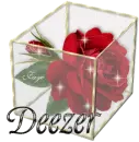 Deezer - Rose Glassbox