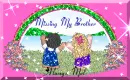 missing my brother