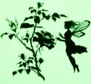 Fairy Flower