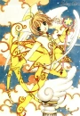 Jester