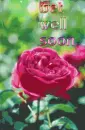 get well soon