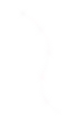 SPARKELS