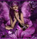 Douce nuit