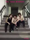 the jonas brothers