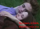 bella and edward 