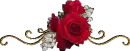 Flower Divider