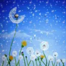 Summer Breeze