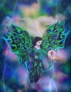 FAIRY  
