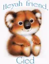 Koala bear-Heya Friend