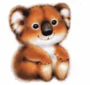 Koala bear 