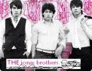 jonas brothers