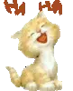laughing cat