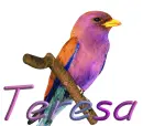bird-Teresa