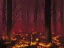 burning forest