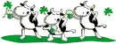 dancing cow