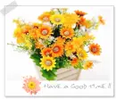 have a good time!