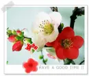 have a good time!