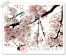 have a good time!
