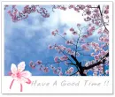 have a good time!