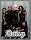daisy-mcr