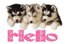 hello