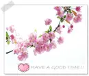 have a good time!