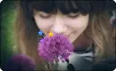 little stars