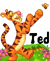 Tigger boxing with bee (animated)- Ted