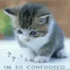 confoosed