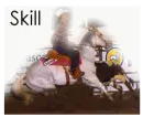 Equestrian Skill