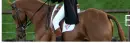 Equestrian