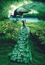 the beauty of nature
