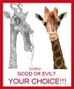 Giraffes