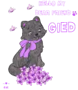 Gied