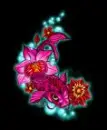 Koi Fish Pink